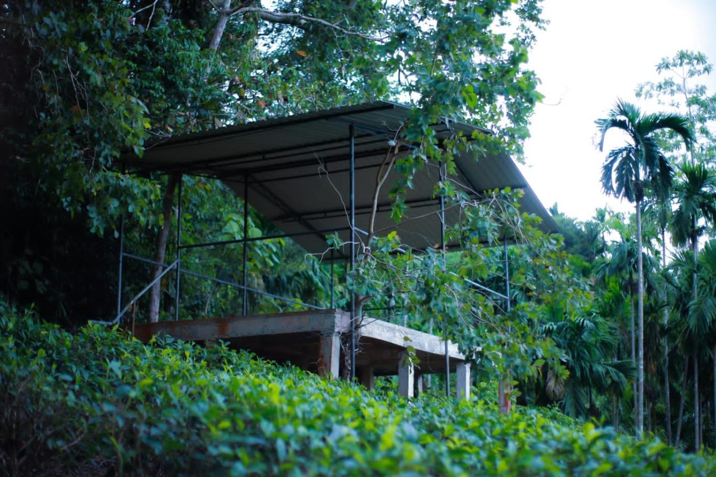 Rainforest Lodge, Deniyaya Extérieur photo