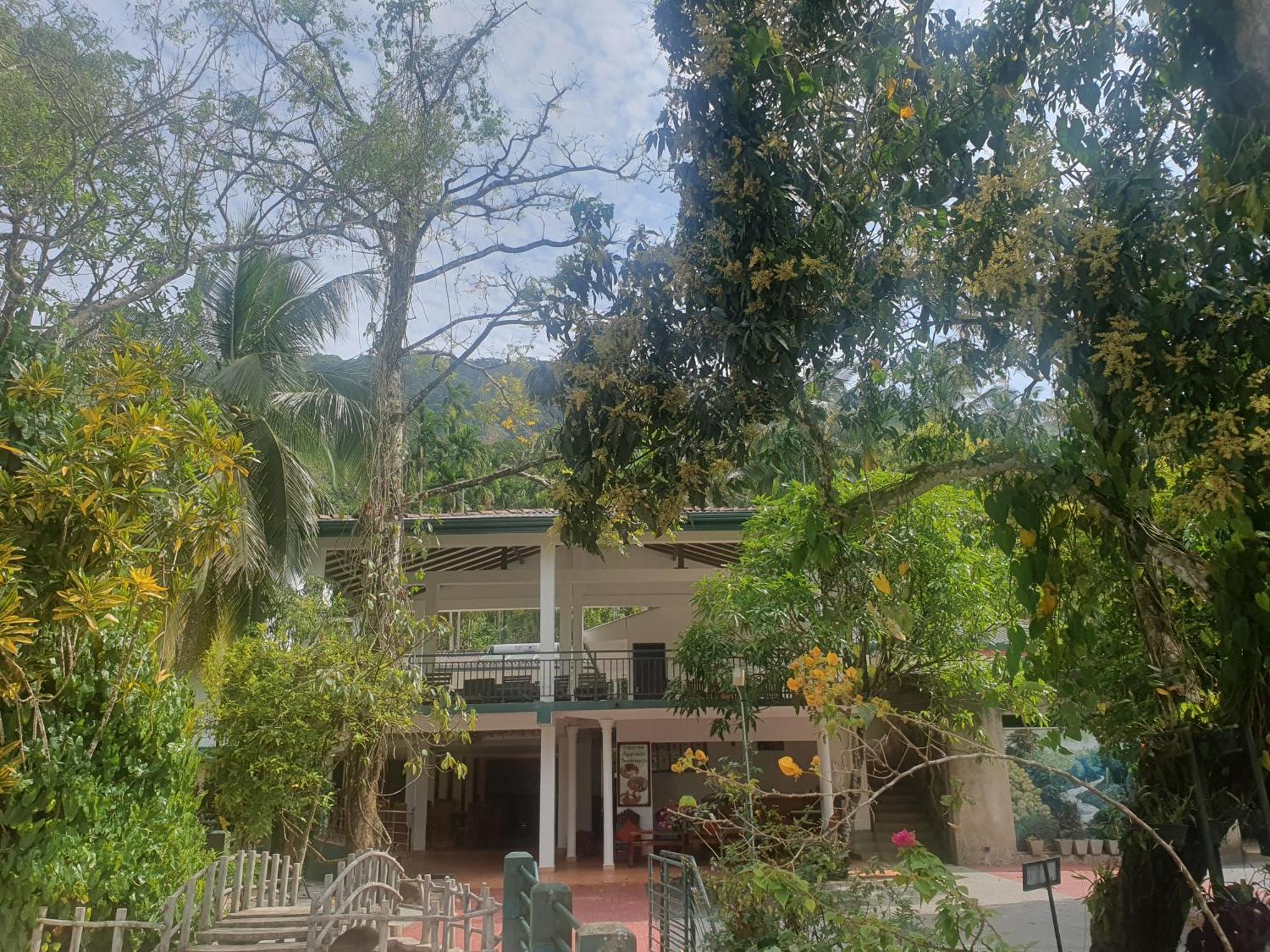 Rainforest Lodge, Deniyaya Extérieur photo