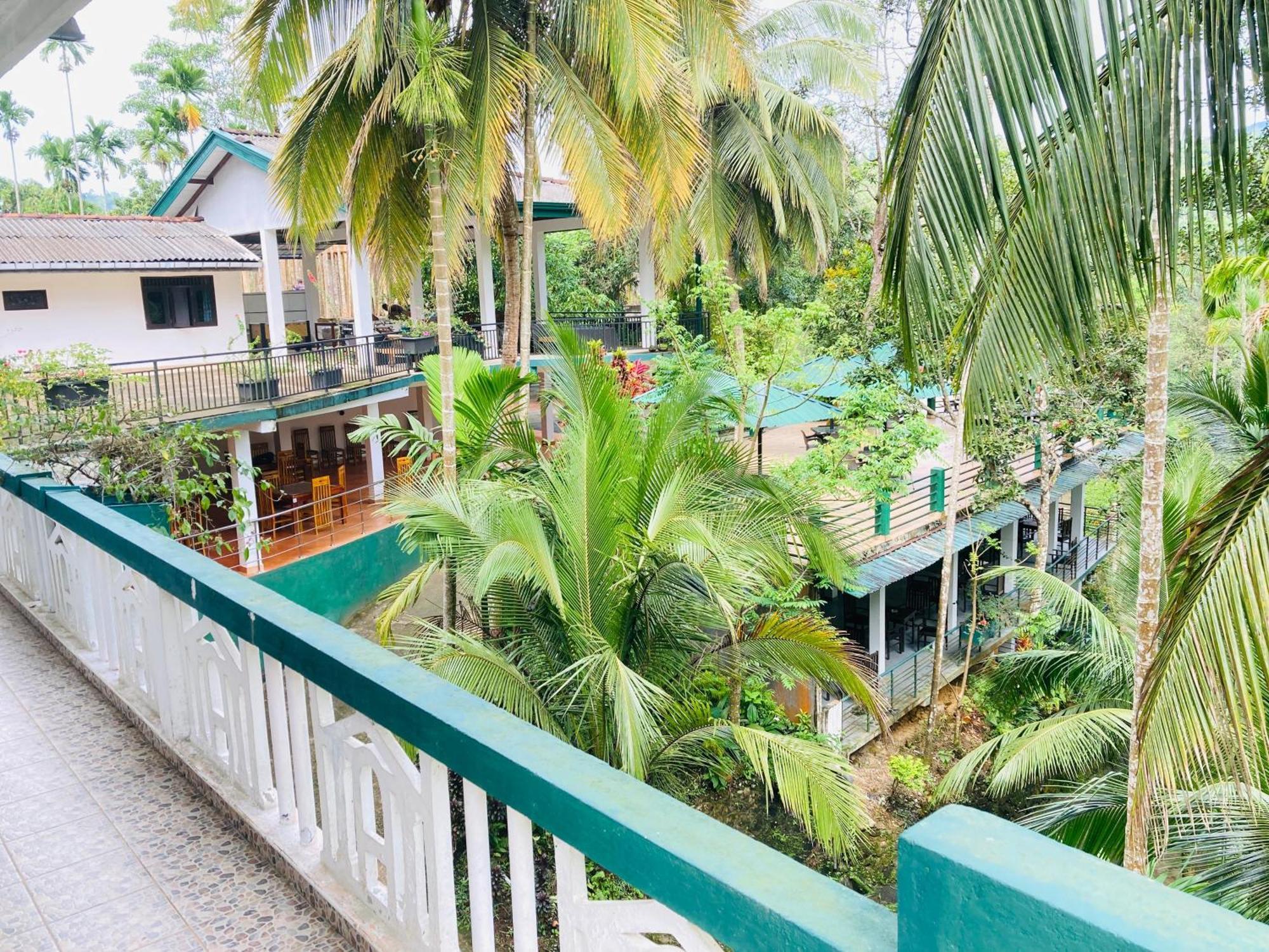 Rainforest Lodge, Deniyaya Extérieur photo