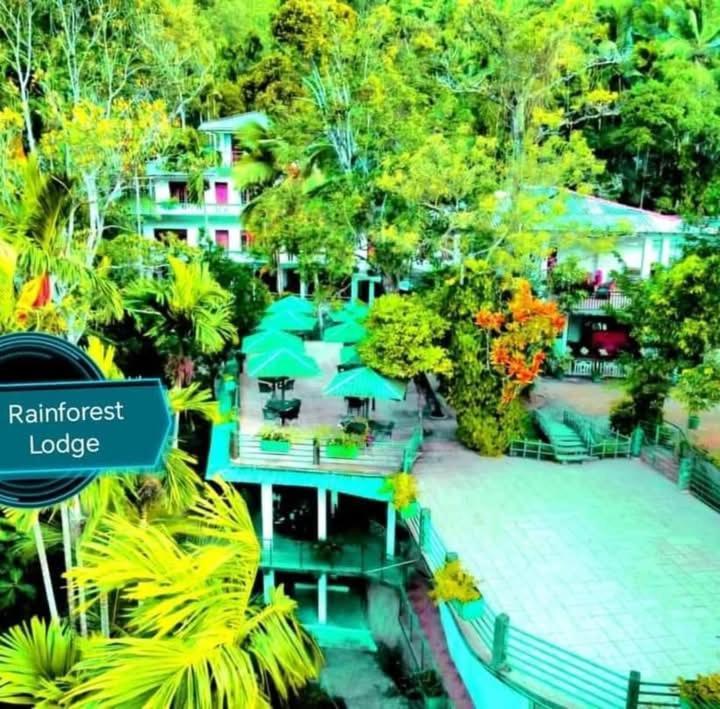 Rainforest Lodge, Deniyaya Extérieur photo